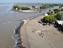 Cegah Abrasi, Turap Bambu Bakal Dipasang di Sepanjang Garis Pantai Muaragembong