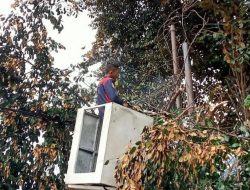 Demi Keamanan, Pohon Rawan Tumbang di Taman Jatiasih Dipangkas