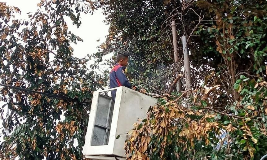 Demi Keamanan, Pohon Rawan Tumbang di Taman Jatiasih Dipangkas