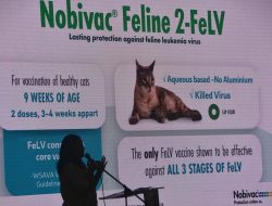 Pemkot Bekasi Matangkan Rencana Pembangunan RS Hewan