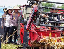 Polri Panen 743.522 Ton Jagung