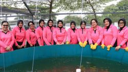 Bhayangkari Polda Metro Jaya Sulap Lahan Sempit di Kota Bekasi jadi Kebun Produktif