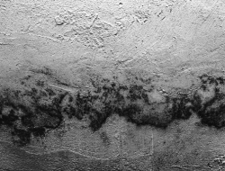 Bahaya Black Mold di Rumah: Penyebab, Dampak Kesehatan, dan Cara Mengatasinya