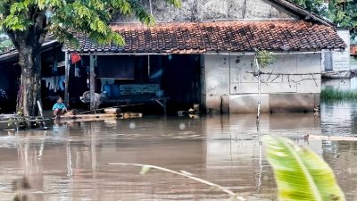 Warga Terdampak Banjir di Pantai Harapan Jaya Muaragembong Butuh Bantuan Logistik dan Obat-obatan