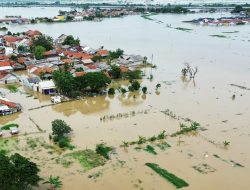 5.301,7 Hektare Sawah Terdampak Banjir di Kabupaten Bekasi Berisiko Gagal Panen