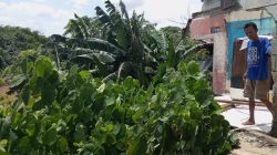 Normalisasi Kali Bekasi Belum Menyentuh Wilayah Utara, Warga Dalam Bahaya