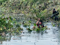 Pemicu Banjir,  Eceng Gondok di Kali Ulu Cikarang Dibabat