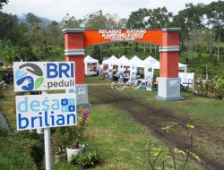 Jangkau 5.245 Desa BRILiaN, BRI Perluas Dukungan bagi Pengembangan Ekonomi Desa