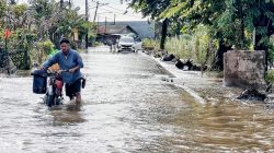 Banjir Hampir Sebulan Lumpuhkan Akses Kampung Penombo Muaragembong