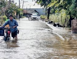 Banjir Hampir Sebulan Lumpuhkan Akses Kampung Penombo Muaragembong