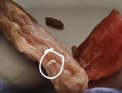 Menu MBG di SMPN 8 Tambun Selatan Ditemukan Ada Belatung, Kepsek: Hanya Satu Ompreng