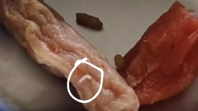 Menu MBG di SMPN 8 Tambun Selatan Ditemukan Ada Belatung, Kepsek: Hanya Satu Ompreng