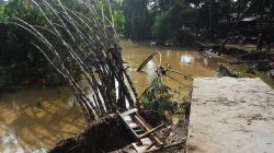 Hutan Bambu Kota Bekasi Porak-Poranda