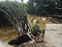 Hutan Bambu Kota Bekasi Porak-Poranda