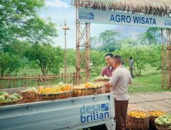 BRI Kembali Gelar Program Desa BRILiaN 2026, Perkuat Implementasi Asta Cita Melalui Pemberdayaan Ekonomi Desa