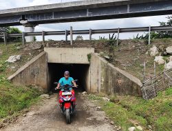 “Terowongan Sapi” di Bawah Tol Japek Pangkas Waktu Perjalanan