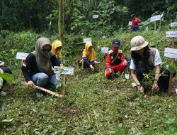 Bumi Berseru Fest dari Telkom Jaring 43 Program Terbaik Untuk Lingkungan Berkelanjutan