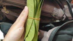 Geger! Setoran Uang Pulsa Rp7,4 Juta Berubah Jadi Daun di Kota Bekasi, Begini Kronologinya