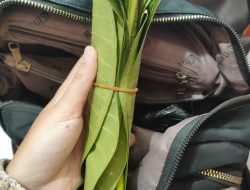 Geger! Setoran Uang Pulsa Rp7,4 Juta Berubah Jadi Daun di Kota Bekasi, Begini Kronologinya