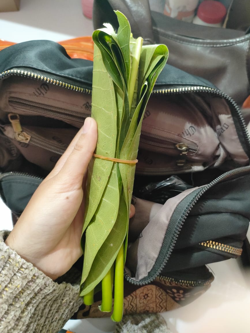 Geger! Setoran Uang Pulsa Rp7,4 Juta Berubah Jadi Daun di Kota Bekasi, Begini Kronologinya