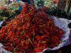 Awal Ramadan, Harga Cabai Rawit di Kota Bekasi Tembus Rp100 ribu Per Kg