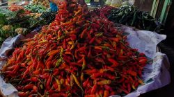 Awal Ramadan, Harga Cabai Rawit di Kota Bekasi Tembus Rp100 ribu Per Kg