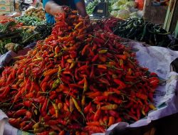 Awal Ramadan, Harga Cabai Rawit di Kota Bekasi Tembus Rp100 ribu Per Kg