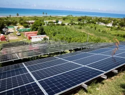 AS Terapkan Tarif 104 Persen Produk Impor Panel Surya Indonesia