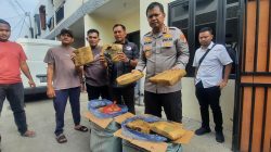 Polisi Bongkar Gudang Ganja di Bekasi Barat, Barang Bukti 30 Kg