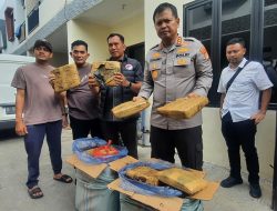 Polisi Bongkar Gudang Ganja di Bekasi Barat, Barang Bukti 30 Kg
