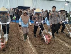 Polri Tanam Jagung 50 Hektare di Cikarang, Pasok Bahan Baku Makan Bergizi Gratis