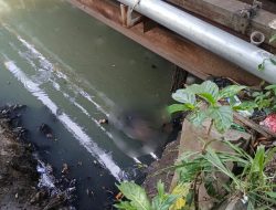 Mayat Pria Ditemukan Mengambang di Kali Bancong Bekasi Utara, Polisi Temukan Bungkus Tramadol di Lokasi