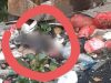 Warga PUP Bekasi Utara Digegerkan Temuan Mayat Bayi di Kali Saat Lebaran
