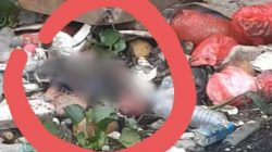 Warga PUP Bekasi Utara Digegerkan Temuan Mayat Bayi di Kali Saat Lebaran
