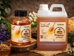 BeeFam’s Kembangkan Usaha Madu Trigona di Jakarta Barat melalui LinkUMKM BRI