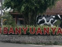 Intip Kisah Desa Banyuanyar, Desa Ramah Lingkungan yang Terus Maju Lewat Pemberdayaan Desa BRILiaN
