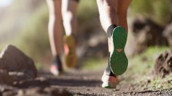 Warga Bekasi Meninggal Saat “Trail Run” di Sentul, Ini Kronologinya