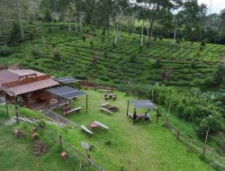 Kampung Koboi Tugu Selatan, Wujud Transformasi Desa Berbasis Potensi Lokal dalam Program Desa BRILiaN