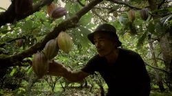 Dari Potensi Lokal ke Prestasi Nasional, Desa BRILiaN Sausu Tambu Perkuat Ekonomi Pesisir