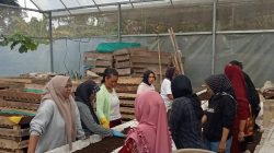 Dari Limbah Menjadi Sumber Penghidupan, Perempuan Nasabah PNM Mekaar di Bandung Barat Kembangkan Usaha lewat Sinergi Ultra Mikro BRI
