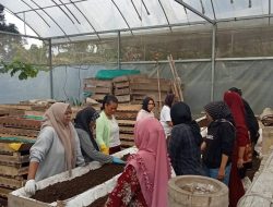 Dari Limbah Menjadi Sumber Penghidupan, Perempuan Nasabah PNM Mekaar di Bandung Barat Kembangkan Usaha lewat Sinergi Ultra Mikro BRI