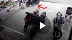 Motor Kurir Beserta Paket Raib Dicuri di Villa Nusa Indah 