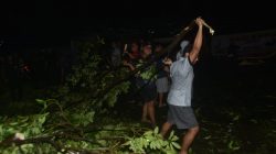 Hujan Disertai Angin Kencang Terjang Rawalumbu: Pohon Tumbang, Belasan Rumah Rusak