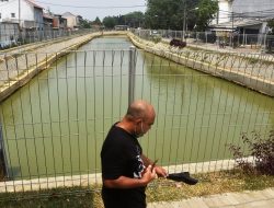 Pemkot Bekasi Bakal Wajibkan Swasta Bangun Sumur Resapan