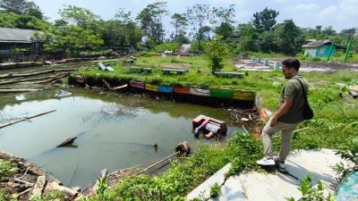 Lahan Eks Wisata Taman Limo Cikarang Jadi Budidaya Ikan