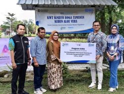 Perempuan Sleman Berdaya Lewat Budidaya Lidah Buaya, Kisah Kelompok Wanita Tani Sumber Boga Tamanan Tumbuh Bersama Dukungan BRI