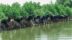 Peringati Hari Bumi, BRI Perkuat Komitmen Jaga Ekosistem Pesisir Lewat Penanaman Mangrove di Muara Gembong Bekasi