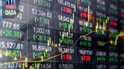 Laba Melonjak 216,70 Persen, DADA Siap Bagikan Dividen Rp2 Miliar