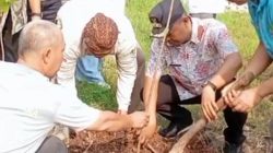 Penghijauan di Jaticempaka, Warga Diajak Rawat Lingkungan dari Rumah