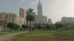 Menepi ke Taman Misfalah